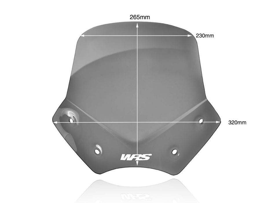 BMW R 1200 R 2006-2014 SPORT WINDSCREEN