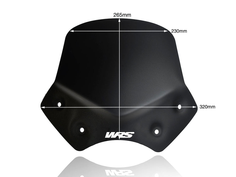 BMW R 1200 R 2006-2014 SPORT WINDSCREEN