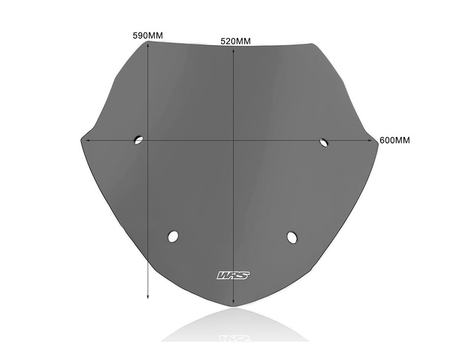 BMW R 1250 RT 2021-2024 SPORT WINDSCREEN