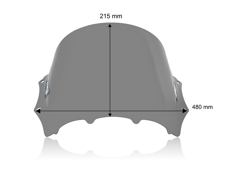 BMW M 1000 RR 2023-2024 RACE WINDSCREEN