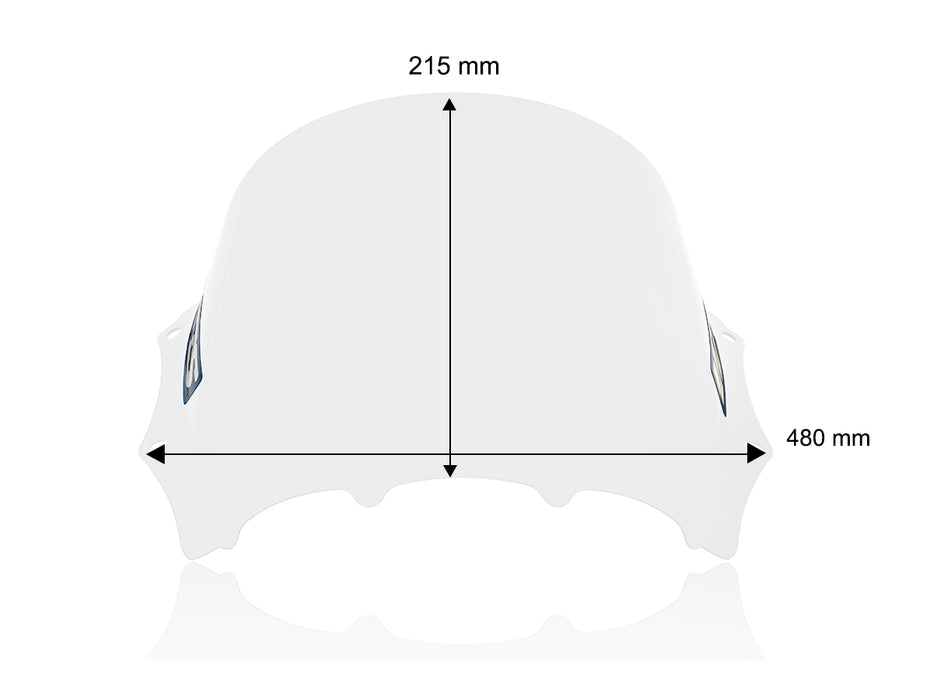 BMW M 1000 RR 2023-2024 RACE WINDSCREEN