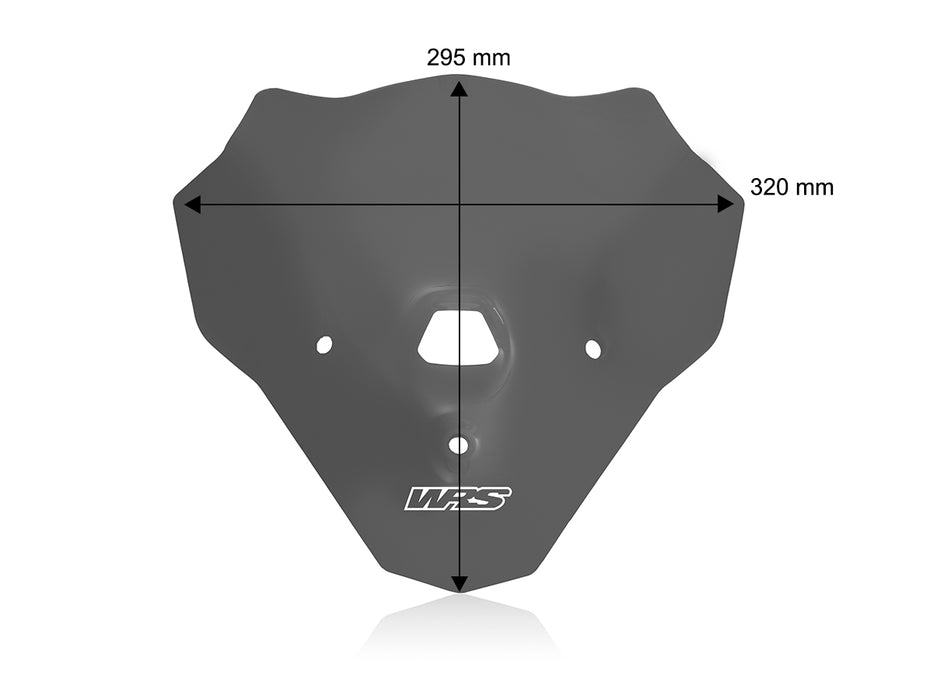 BMW F 900 R 2018-2024 WINDSCREEN TOURING