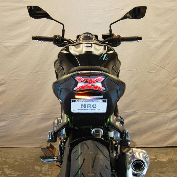 Kawasaki Z900 Fender Eliminator (2020-Present)