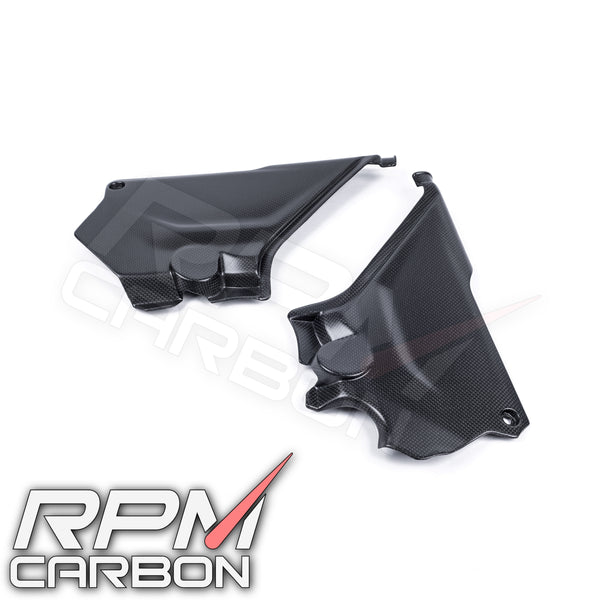 Ducati DesertX Carbon Fiber Side Panels